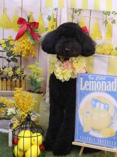 20240423アロちゃん 